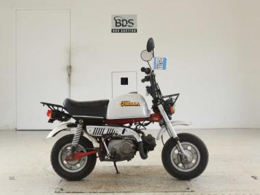 Honda Gorilla