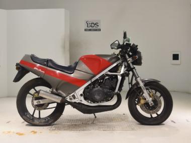 Suzuki RG250