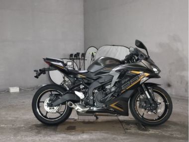 Kawasaki Ninja Zx-25r Se