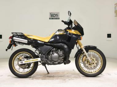 Yamaha TDR250