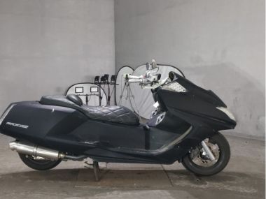 Yamaha Maxam250