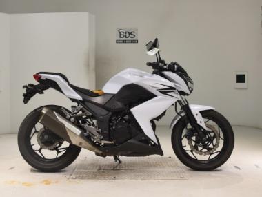 Kawasaki Z250