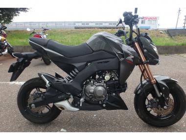 Kawasaki Z125 Pro