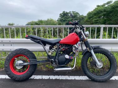 Yamaha TW225