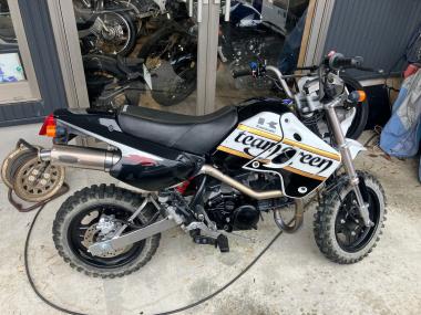 Kawasaki KSR110