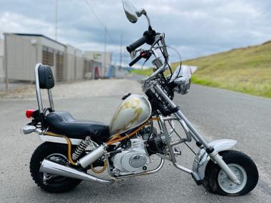 Other Lifan Kit Bike