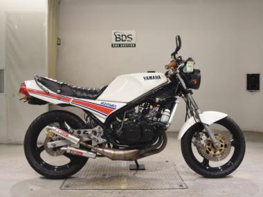 Yamaha RZ250R