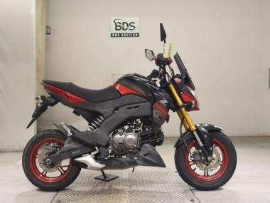 Kawasaki Z125 Pro