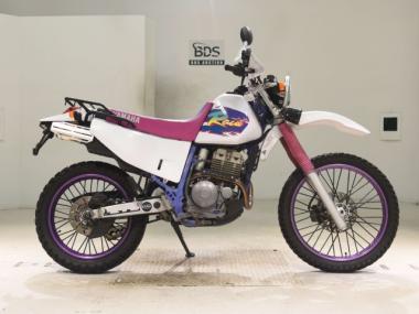 Yamaha TT250RRAID