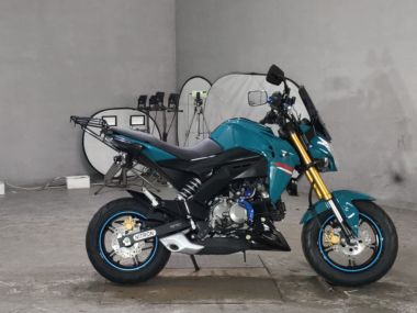 Kawasaki Z125 Pro