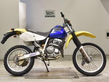 Suzuki DR250R
