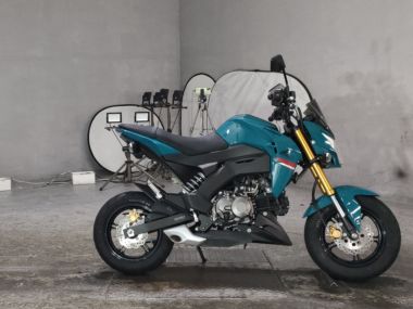 Kawasaki Z125 Pro