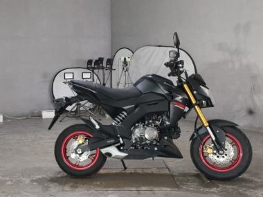 Kawasaki Z125 Pro