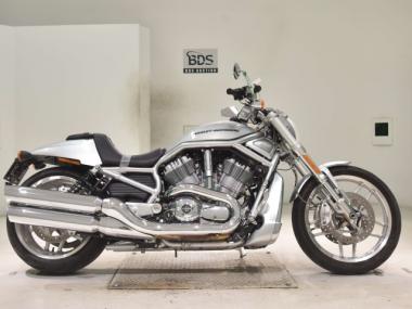 Harley-Davidson Vrscdx1250