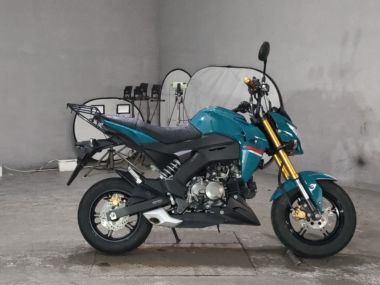 Kawasaki Z125 Pro