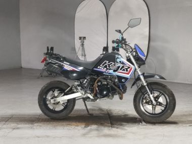 Kawasaki KSR110