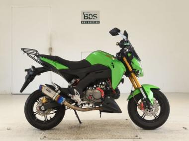 Kawasaki Z125 Pro