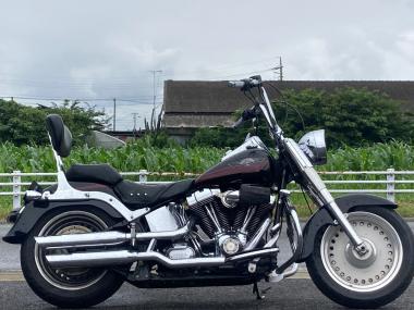 Harley-Davidson Flstf1450-1580