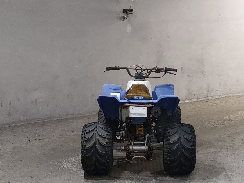 Миниатюра 4