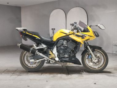 Yamaha FZS1000 Fazer