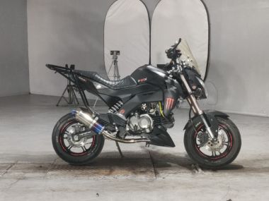 Kawasaki Z125 Pro