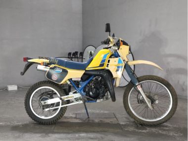 Suzuki RH250