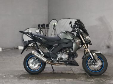 Kawasaki Z125 Pro