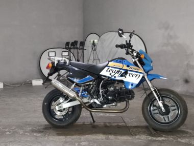 Kawasaki KSR110