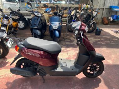 Honda Tact Basic