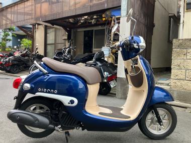 Harley-Davidson XL883N