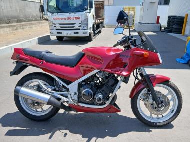 Yamaha FZ250 Feather