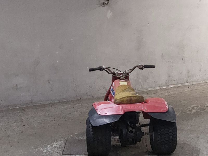 Миниатюра 4