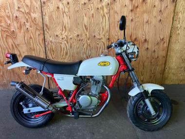 Honda APE100