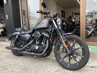 Harley-Davidson XL883N