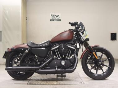 Harley-Davidson XL883N
