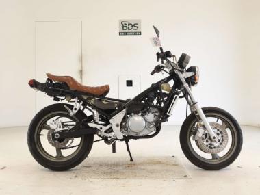 Yamaha R1-Z250