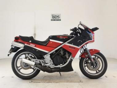 Kawasaki KR250S
