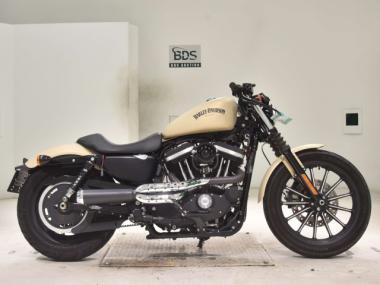 Harley-Davidson XL883N