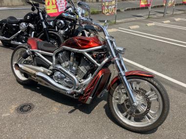 Harley-Davidson Vrscaw