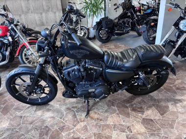 Harley-Davidson XL883N