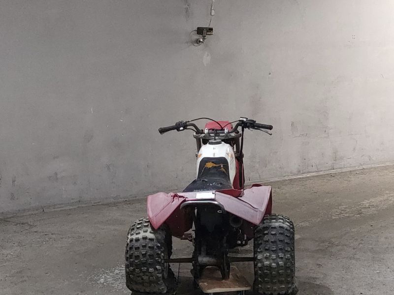 Миниатюра 4