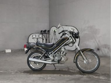 Honda Raccoon