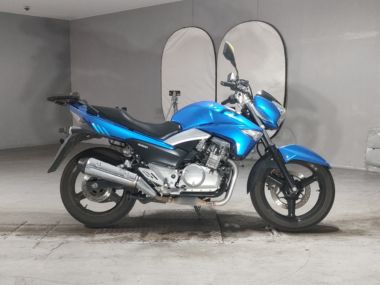 Suzuki GSR250