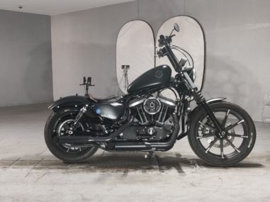 Harley-Davidson XL883N