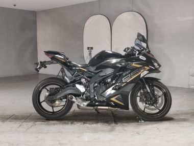 Kawasaki Ninja Zx-25r