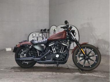 Harley-Davidson XL883N