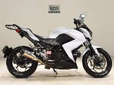 Kawasaki Z250