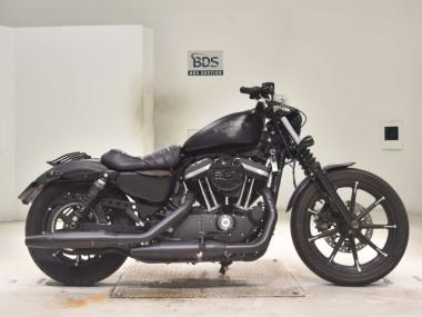 Harley-Davidson XL883N