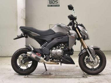 Kawasaki Z125 Pro