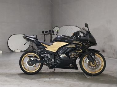 Kawasaki Ninja250r